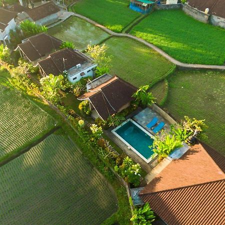 Ubud Glassy Villa By Pramana Villas Exterior foto