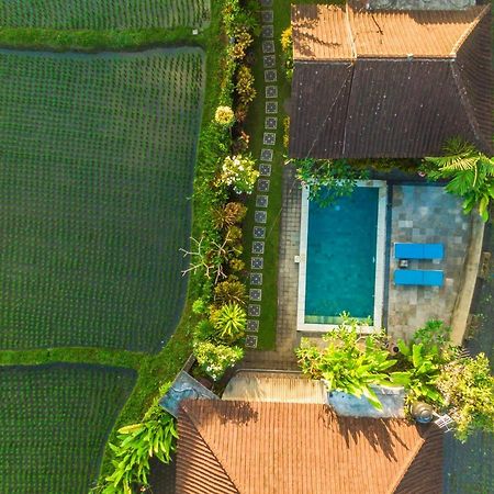 Ubud Glassy Villa By Pramana Villas Exterior foto