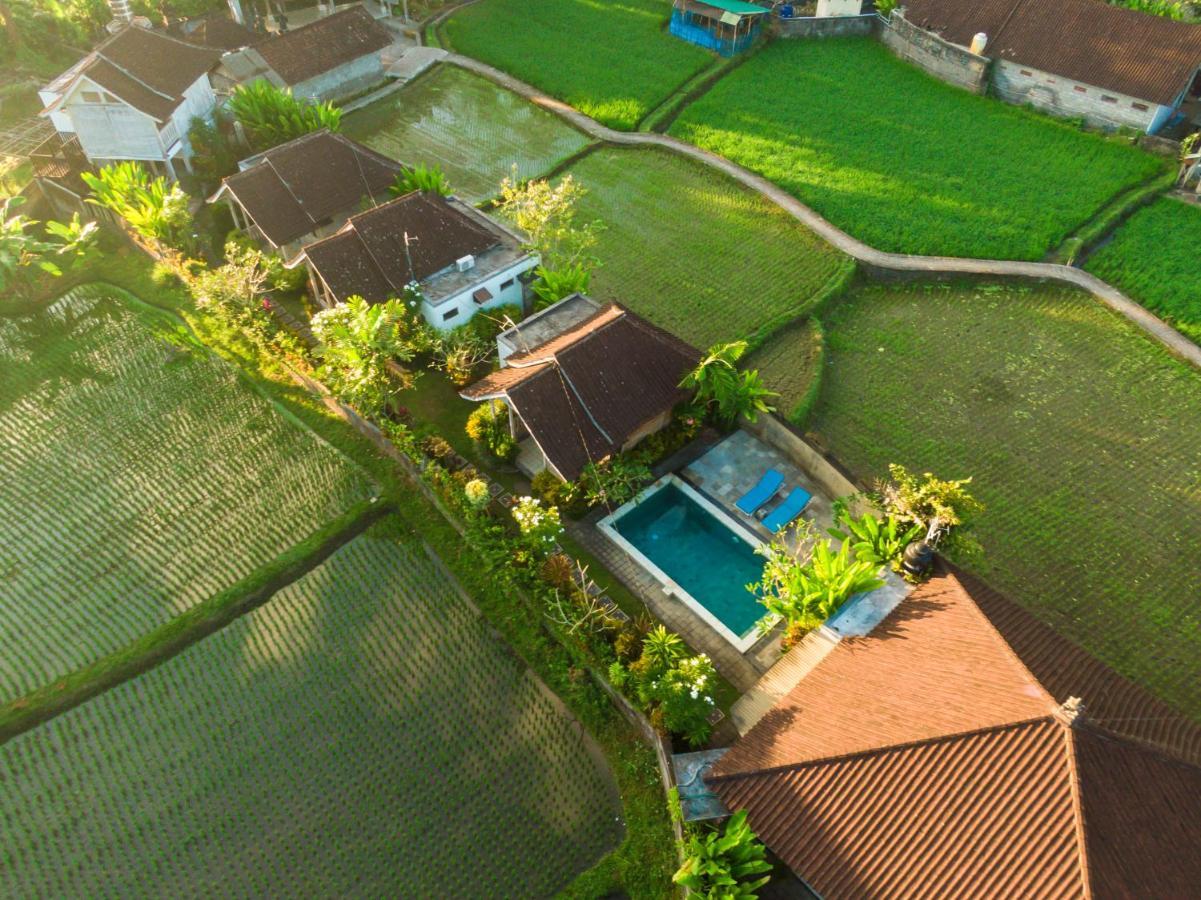 Ubud Glassy Villa By Pramana Villas Exterior foto