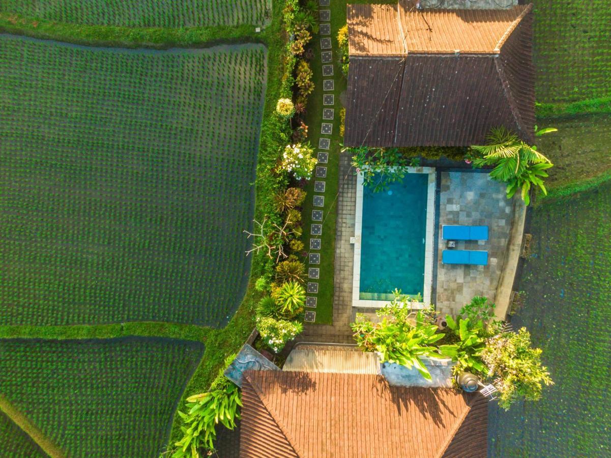 Ubud Glassy Villa By Pramana Villas Exterior foto